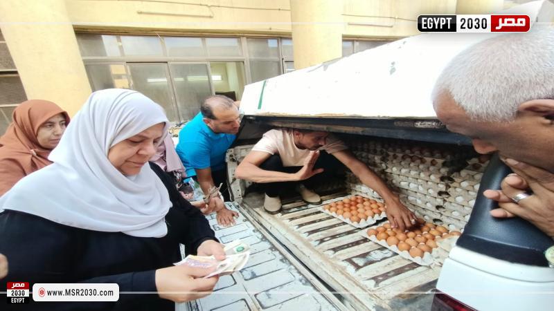 منافذ متنقلة لبيع بيض المائدة للمواطنين بأسعار مخفضة