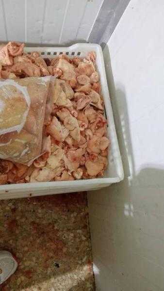محافظ كفرالشيخ: ضبط 2.5 طن لحوم ودواجن غير صالحة للاستهلاك الآدمي