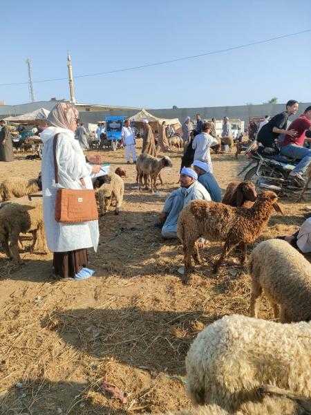 الخدمات البيطرية تنفذ أكثر من 8 آلاف زيارة للتقصي النشط خلال أغسطس الماضي