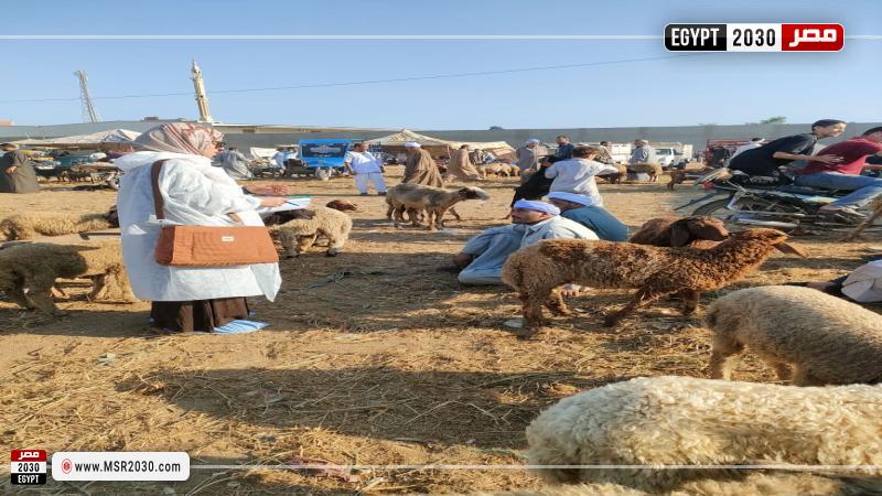 الخدمات البيطرية