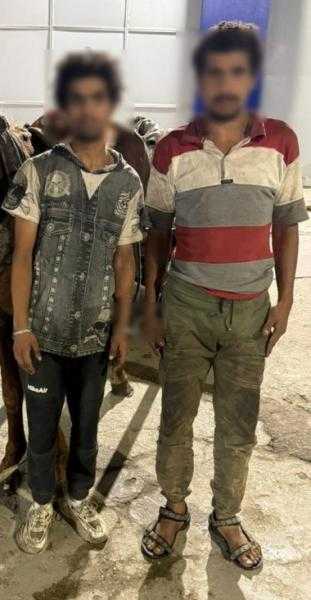 الداخلية تكشف ملابسات فيديو عربة كارو وتضبط المتهمين بالجيزة