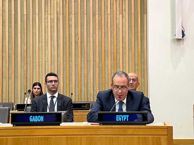 وزير الخارجية يشارك في الاجتماع الوزاري التنسيقي لوزراء خارجية منظمة التعاون الإسلامي