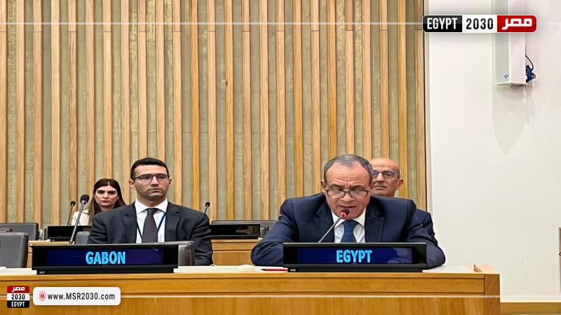 وزير الخارجية خلال مشاركته بالاجتماع الوزاري التنسيقي لوزراء خارجية منظمة التعاون الإسلامي