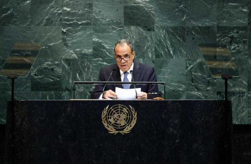 وزير الخارجية: لا استقرار فى المنطقة بدون إقامة الدولة الفلسطينية