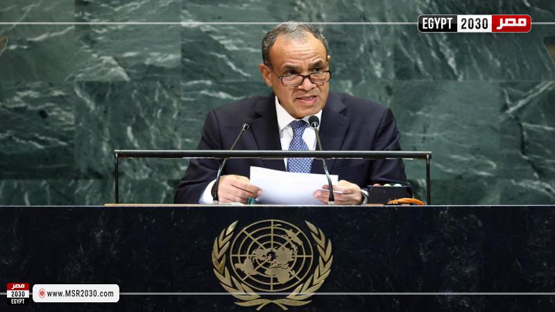 د. بدر عبد العاطي وزير الخارجية 