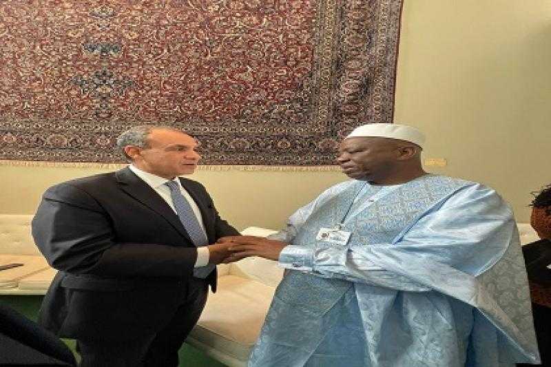 وزير الخارجية يلتقي نظيره الغيني ويؤكد حرص مصر على تعزيز التعاون في شتى المجالات