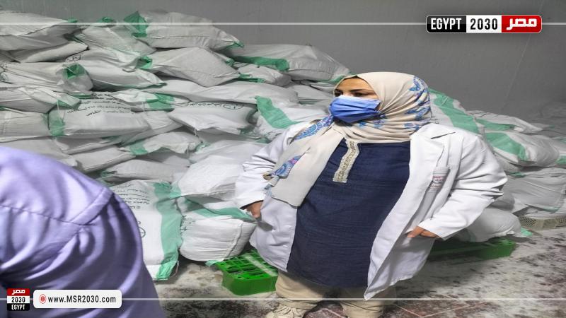 تموين بلبيس