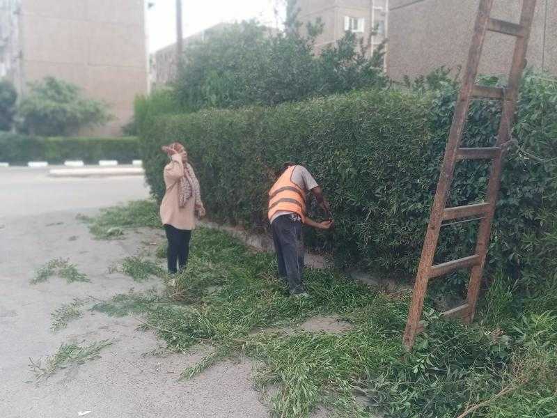 رفع كفاءة المتخللات السكنية بحي ثالث ضمن خطة تحسين البيئة بالإسماعيلية