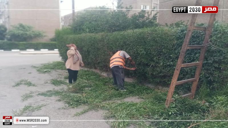 محافظة الإسماعيلية 