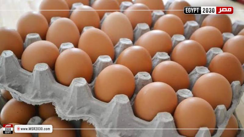 مصر 2030