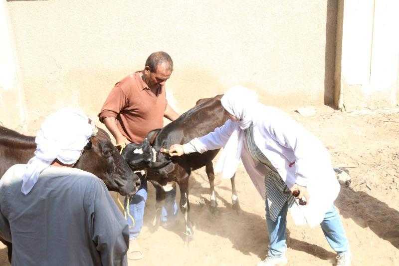 جامعة الفيوم تنظم قافلة بيطرية بقرية الناصرية بمركز الفيوم