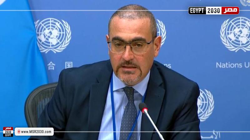 منسق الأمم المتحدة 