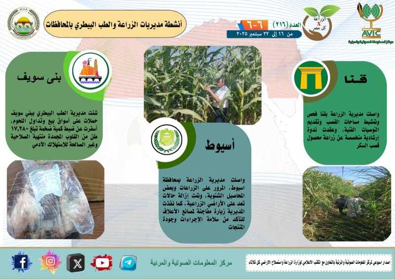 بالانفوجراف تعرف على أنشطة وجهود مديريات الزراعة والطب البيطري خلال الفترة من 23 إلى 29 سبتمبر الجاري