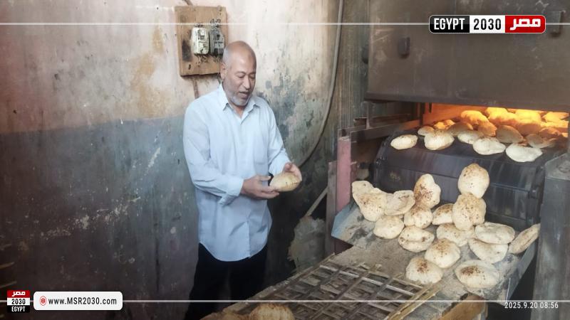 تموين الأقصر 