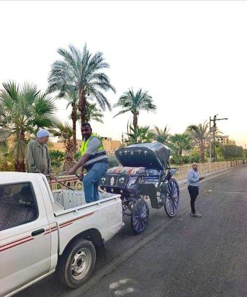 ضبط عدد 2 عربة حنطور مخالفة خلال حملة مكبرة بمدينة الأقصر