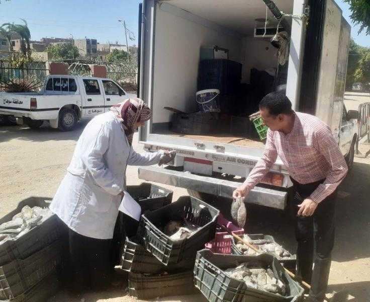محافظ سوهاج: ضبط 300 كجم أسماك غير صالحة للاستهلاك الآدمي