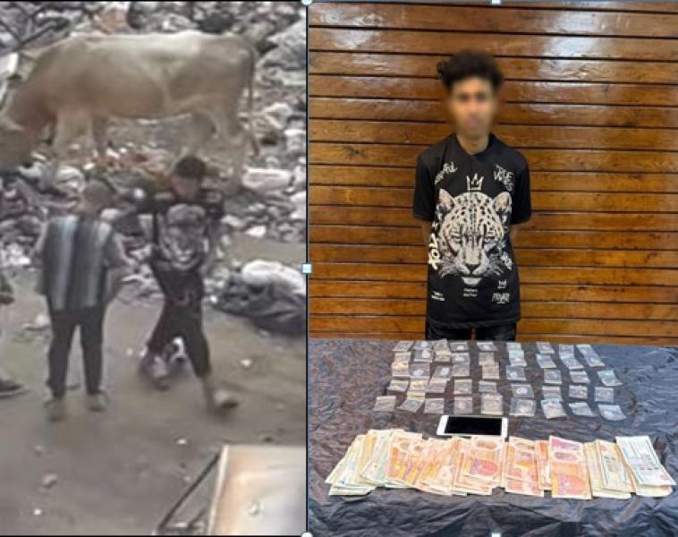 الداخلية تضبط مروج مخدرات في القليوبية