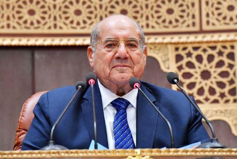 رئيس مجلس الشيوخ يشيد بالتعاون البنّاء بين السلطتين التنفيذية والتشريعية لخدمة الوطن