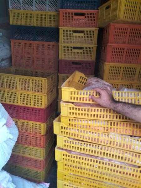 تموين الشرقية يضبط 1.5 طن شاورما دجاج غير صالحة ومجهولة المصدر بمشتول السوق