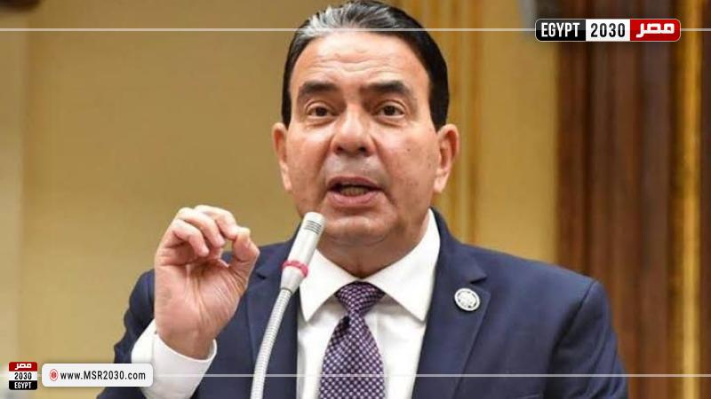 النائب أيمن أبو العلا 