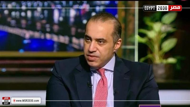 المستشار محمود فوزي 