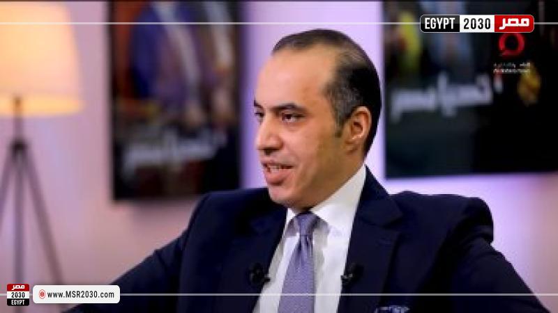 المستشار محمود فوزي 