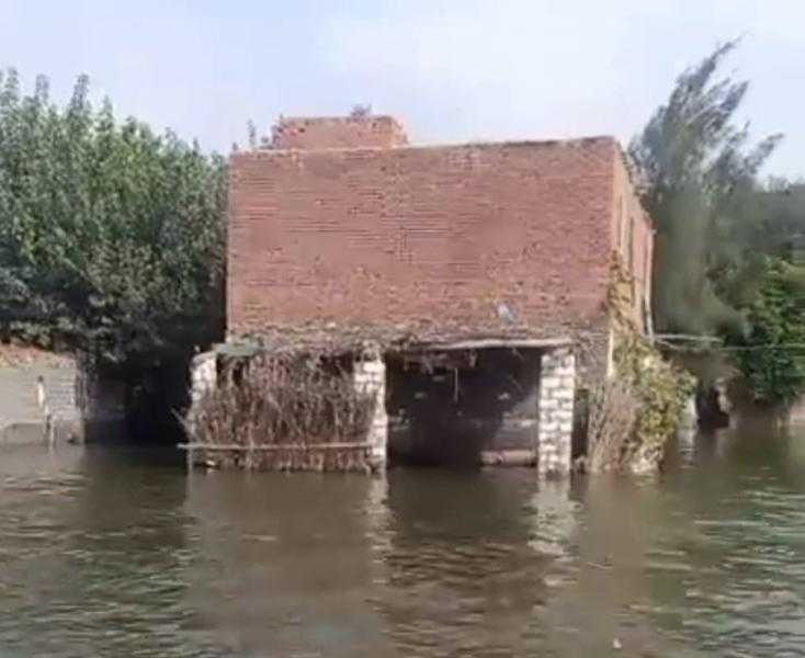 عاجل.. غرق مئات الأفدنة بالمنوفية بسبب ارتفاع منسوب النيل
