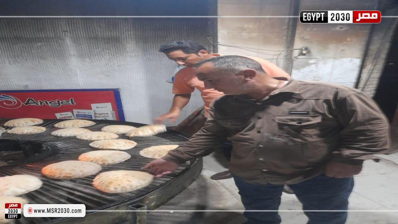 محافظة كفرالشيخ 