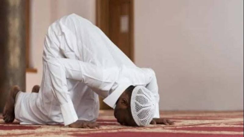 هل يجوز ترديد أدعية القرآن الكريم في السجود ؟.. الإفتاء تجيب