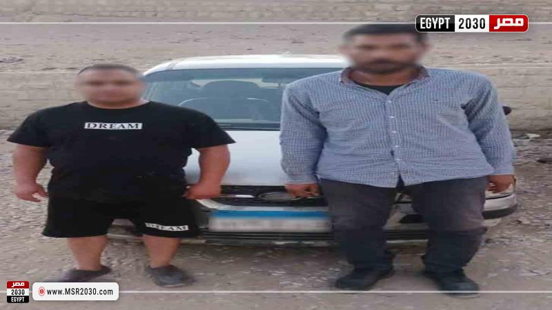 ضبط المتهمين بوضع طعام مسمم للكلاب الضالة ونفوقها في الجيزة