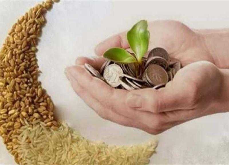 حكم سداد تكاليف توصيل المياه والصرف من أموال الزكاة .. الإفتاء توضح