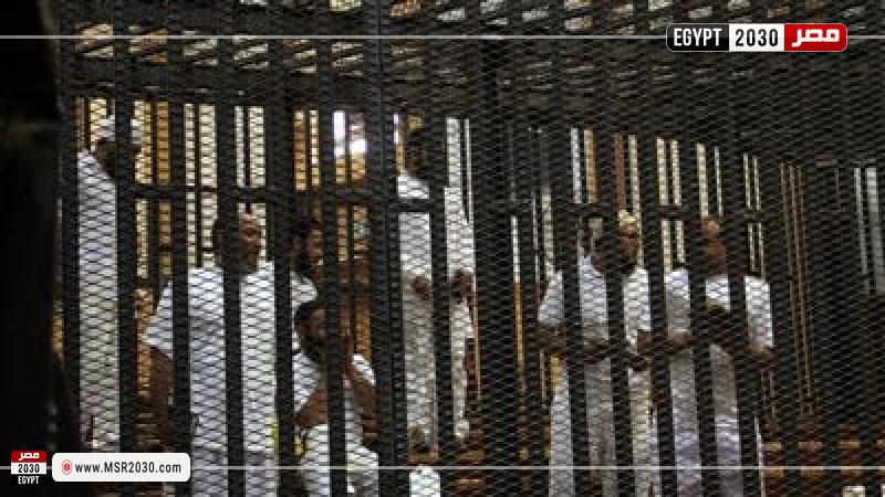 خلية القطامية