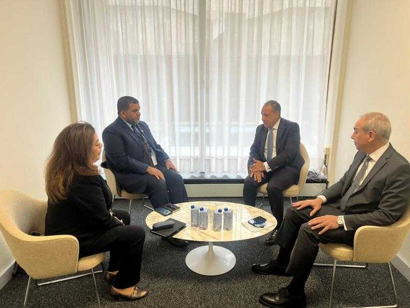 وزير الخارجية يلتقي المندوب الدائم للإمارات الرئيس الحالي للمجموعة العربية في «اليونسكو»