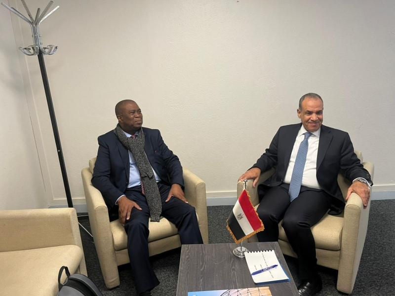 رئيس المجموعة الإفريقية باليونسكو يُثمن خبرات ومؤهلات ”العناني” باعتباره مرشح إفريقيا