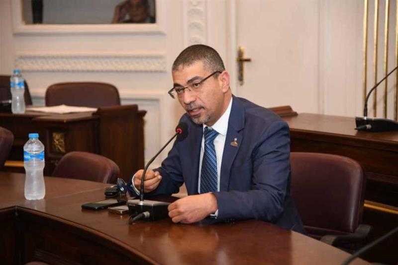النائب محمد البدري: مصر والسعودية جناحا الأمة العربية وضمانة استقرارها