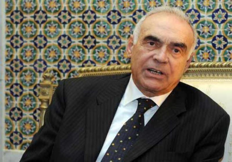 السفير محمد كامل عمرو 