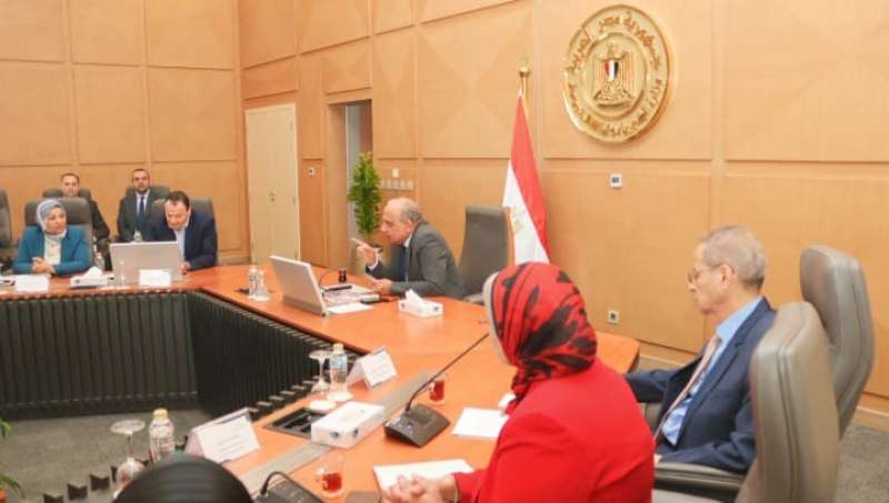 جانب من اجتماع وزير الكهرباء