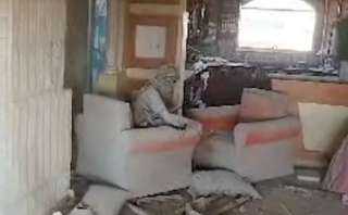 ما مصير رفات السنوار وشقيقه بعد اتفاق غزة؟