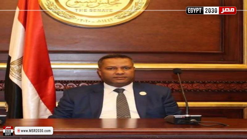 النائب محمد حمزة، عضو مجلس الشيوخ