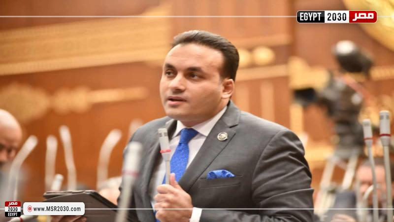 النائب عمرو فهمي، عضو مجلس الشيوخ