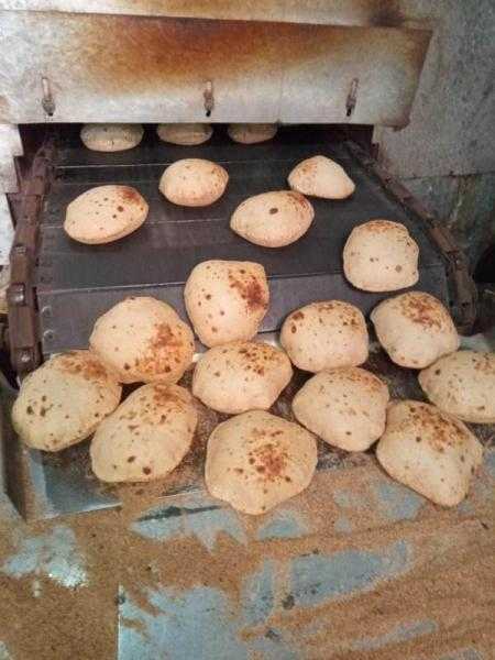 محافظ المنوفية : تحرير 224 محضر تمويني وضبط 6 طن أعلاف مجهولة المصدر بنطاق المحافظة