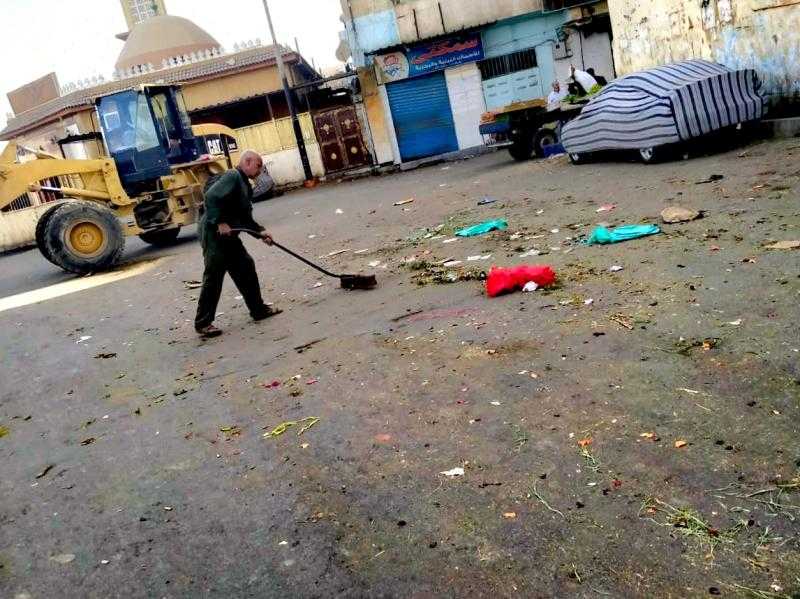 رفع 91 طن قمامة وتراكمات خلال حملات نظافة مكثفة بمدينة الأقصر