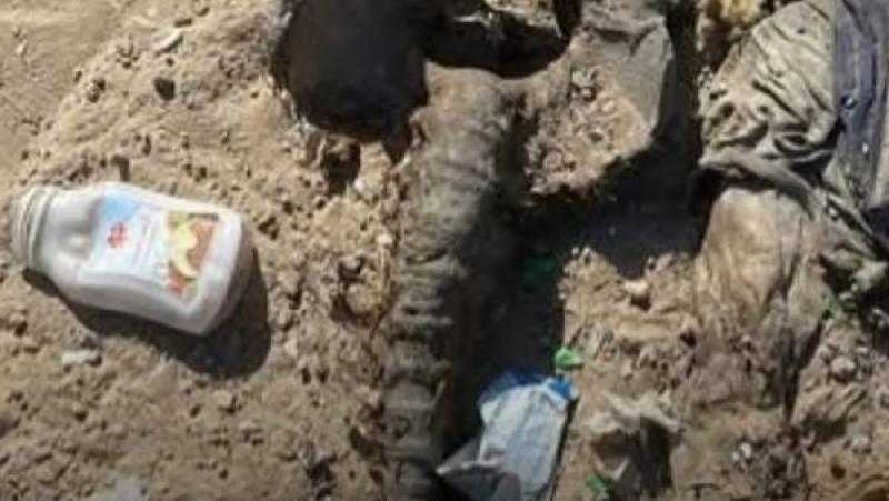 غزة.. العثور على جثـ.ـث متحللة في مناطق انسحب جيش الاحتلال