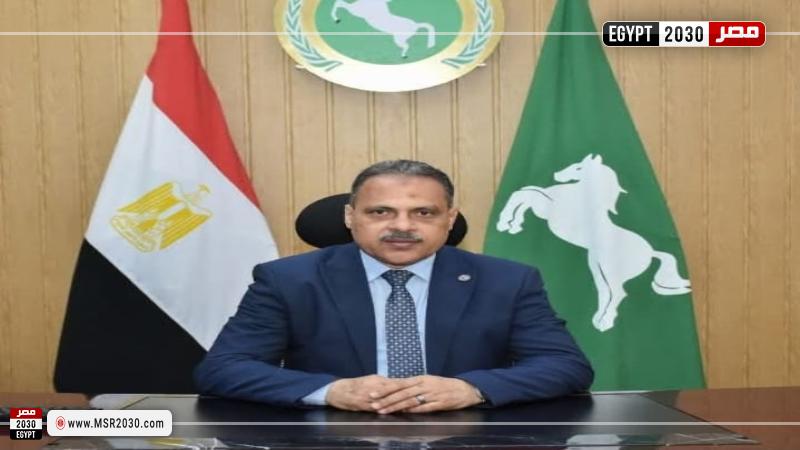 محافظ الشرقية