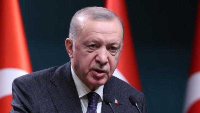 الرئيس التركي: حل الدولتين السبيل الوحيد لتحقيق سلام دائم في غزة