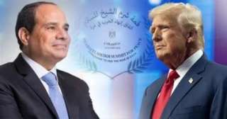 النائب سليمان وهدان: قمة شرم الشيخ للسلام تتويج لجهود الرئيس السيسي.. ومشاركة ترامب ضمانة لالتزام إسرائيل