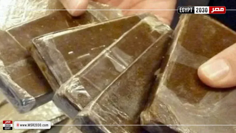 مخدر الحشيش