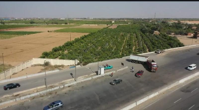 «النقل» تُناشد المواطنين المشاركة معها في التوعية من مخاطر السلوكيات السلبية