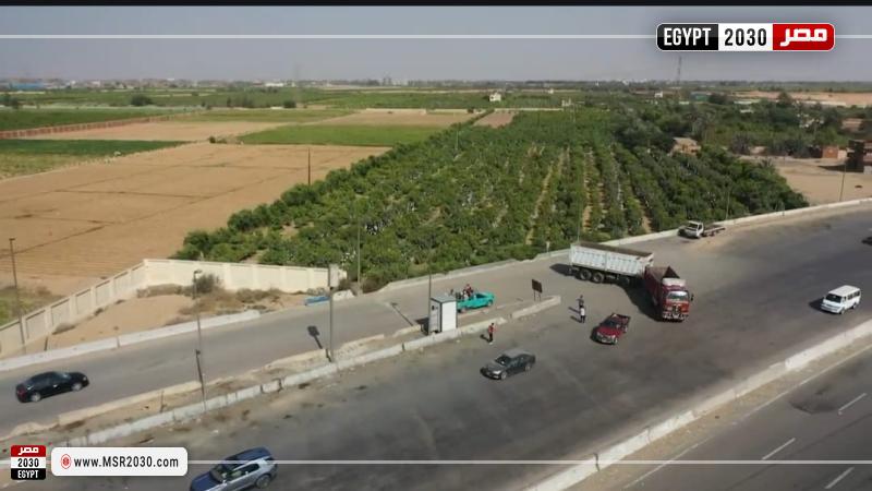 النقل تناشد المواطنين المشاركة معها في التوعية من مخاطر السلوكيات السلبية