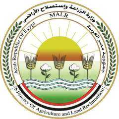 الزراعة تُحدّث بيانات الوضع الوبائي لمصر في نظام الصحة الحيوانية العالمي